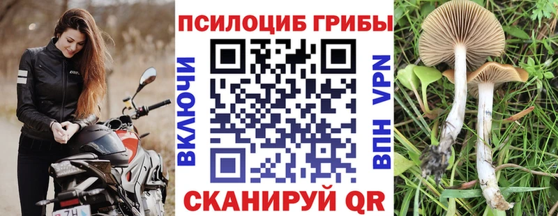 мориарти официальный сайт  Порхов  Галлюциногенные грибы Cubensis 